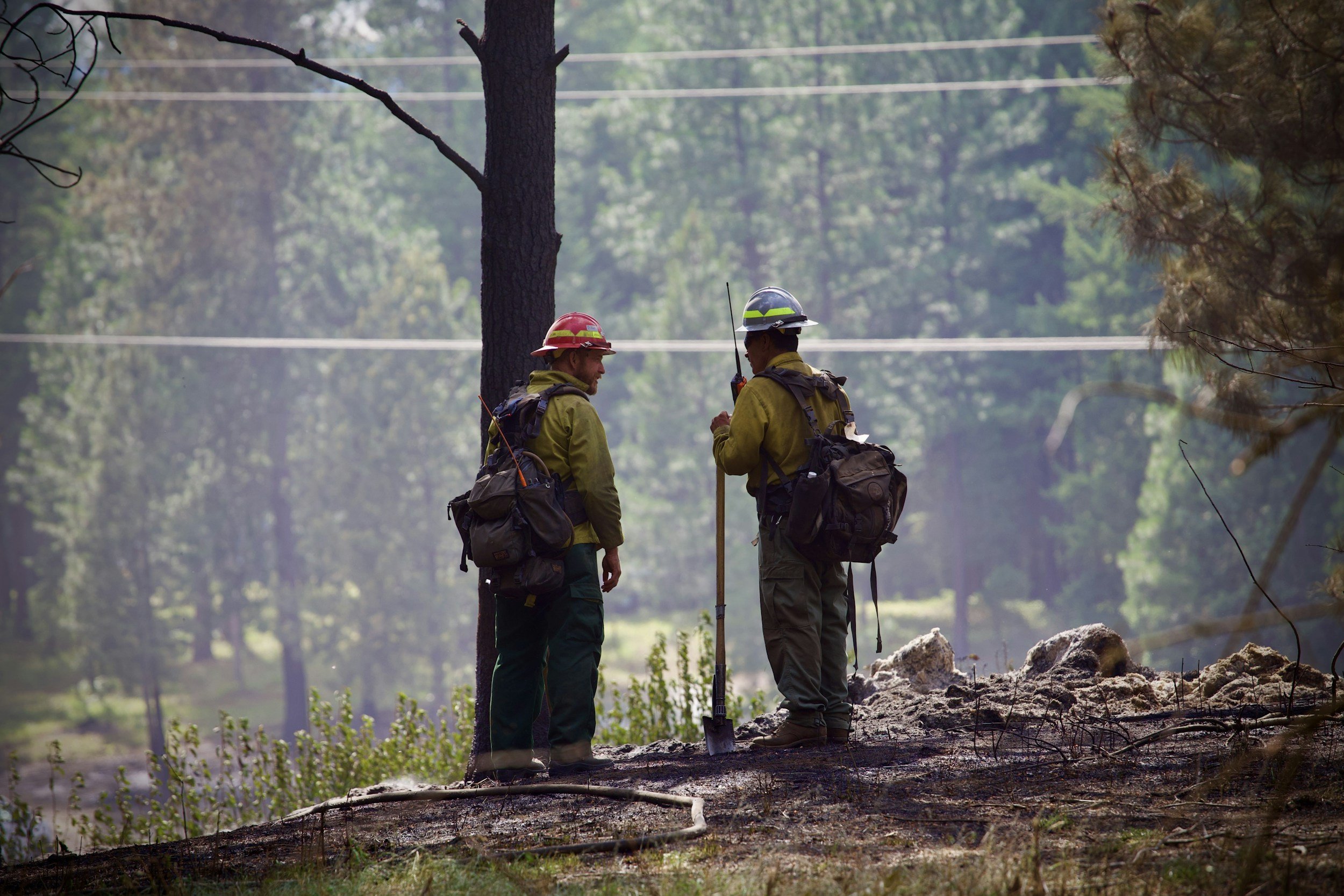 Two firefighters wearing yellow uniforms and helmets, standing outdoors in a forested area, discussing a small fire or burn area.