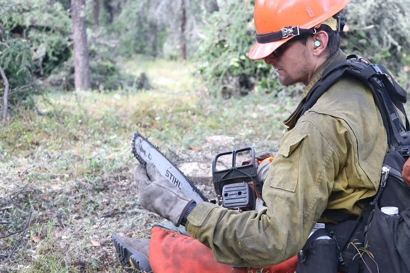 Beetle kill tree removal in Glade Park, Colorado