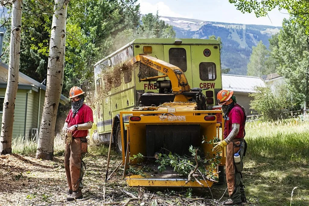 Vegetation thinning for wildfire risk reduction on the Western Slope