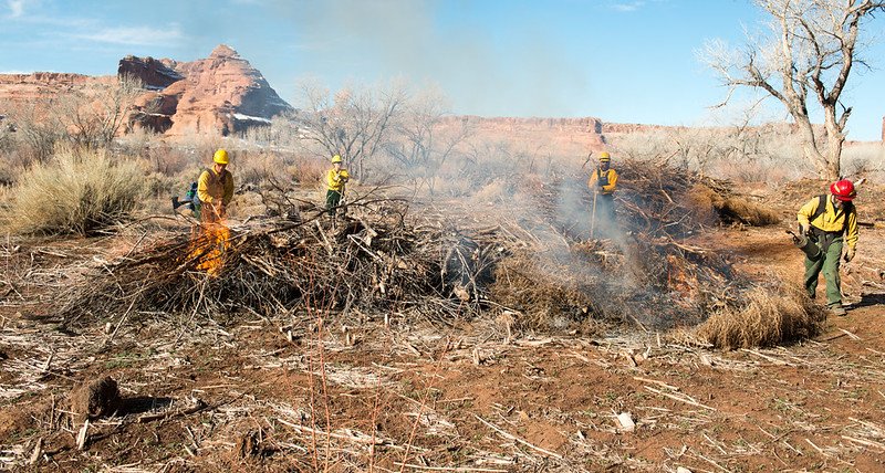 Fire mitigation crew removing ground fuels near structure