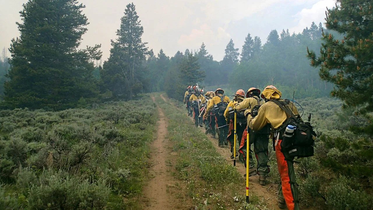 Wildland firefighters assessing fuel load on residential property