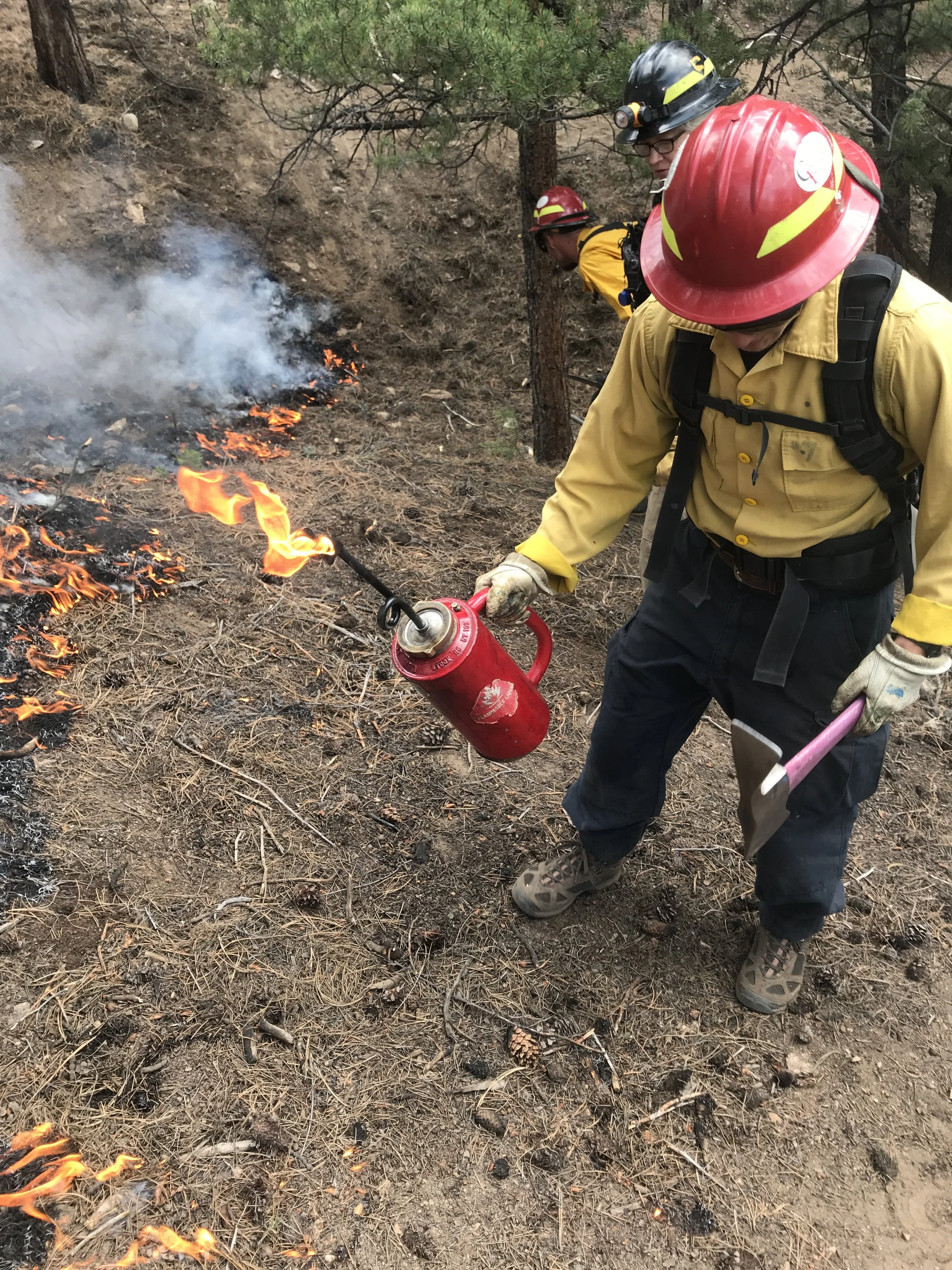 Defensible space clearing around a home in Delta County