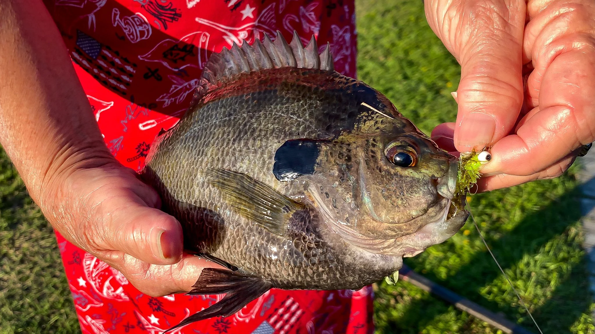 The First Fish Matters