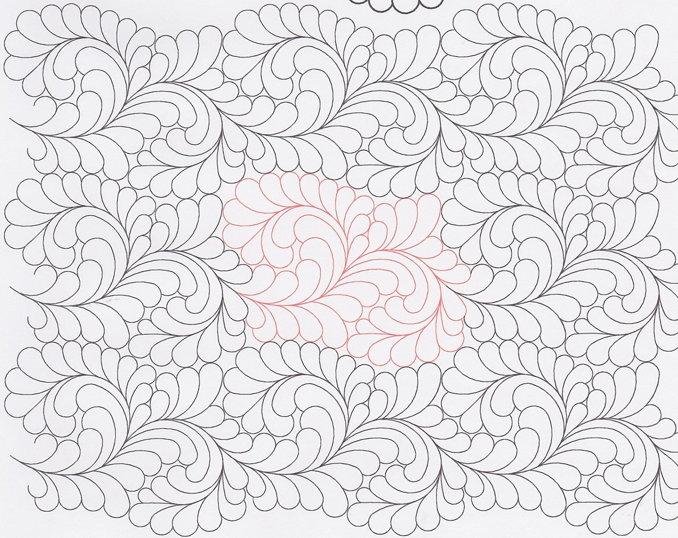 Abundant Feathers