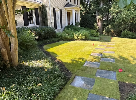 SOD INSTALLATION