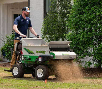 TOP DRESSING