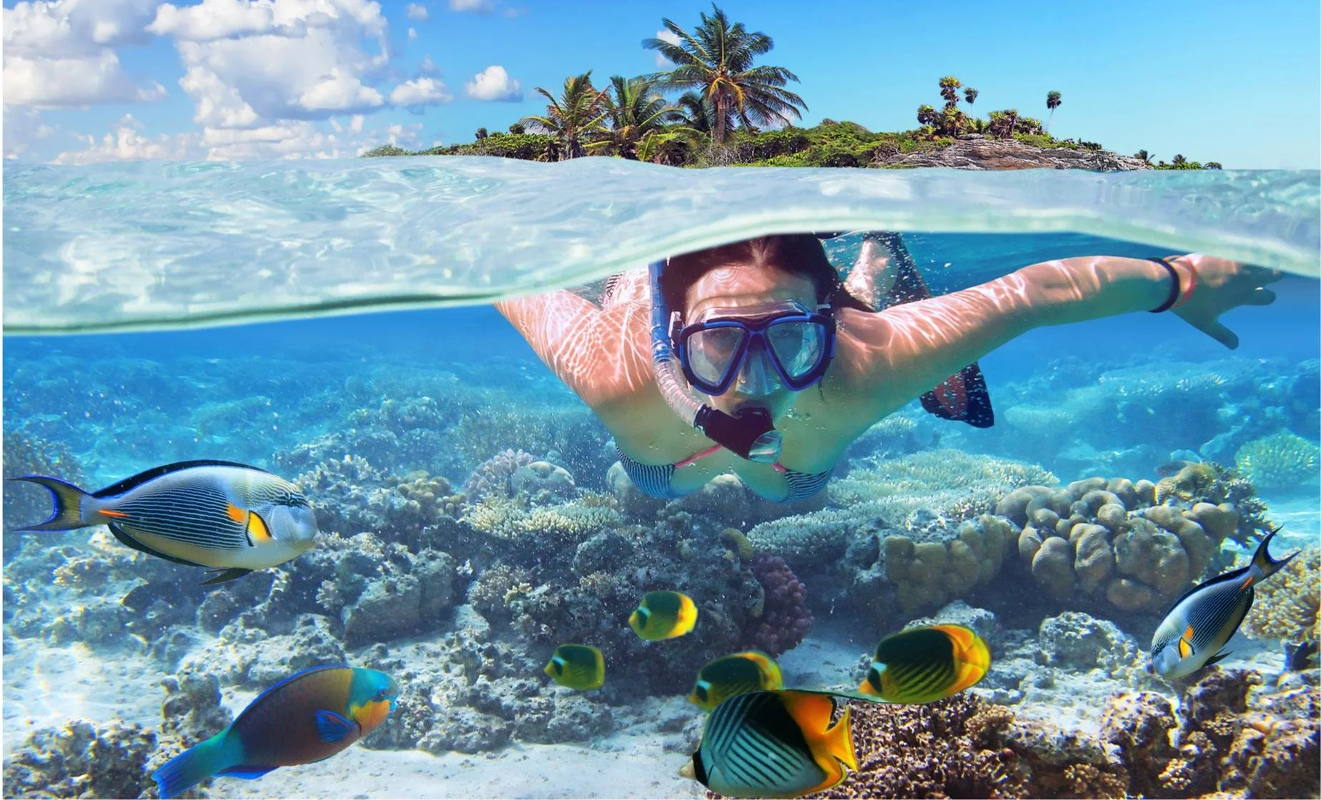 Snorkeling trip