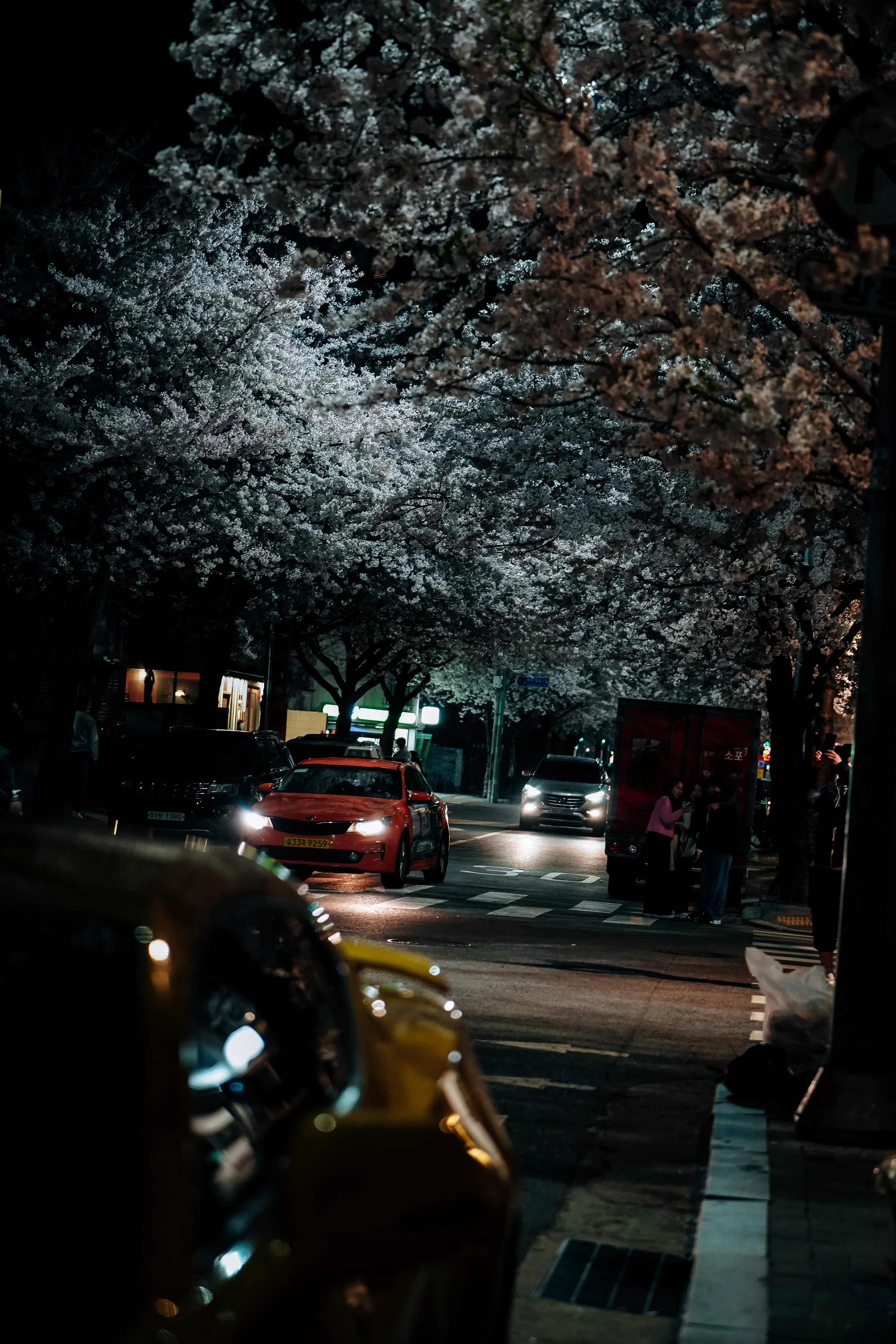 DSC00445.jpg