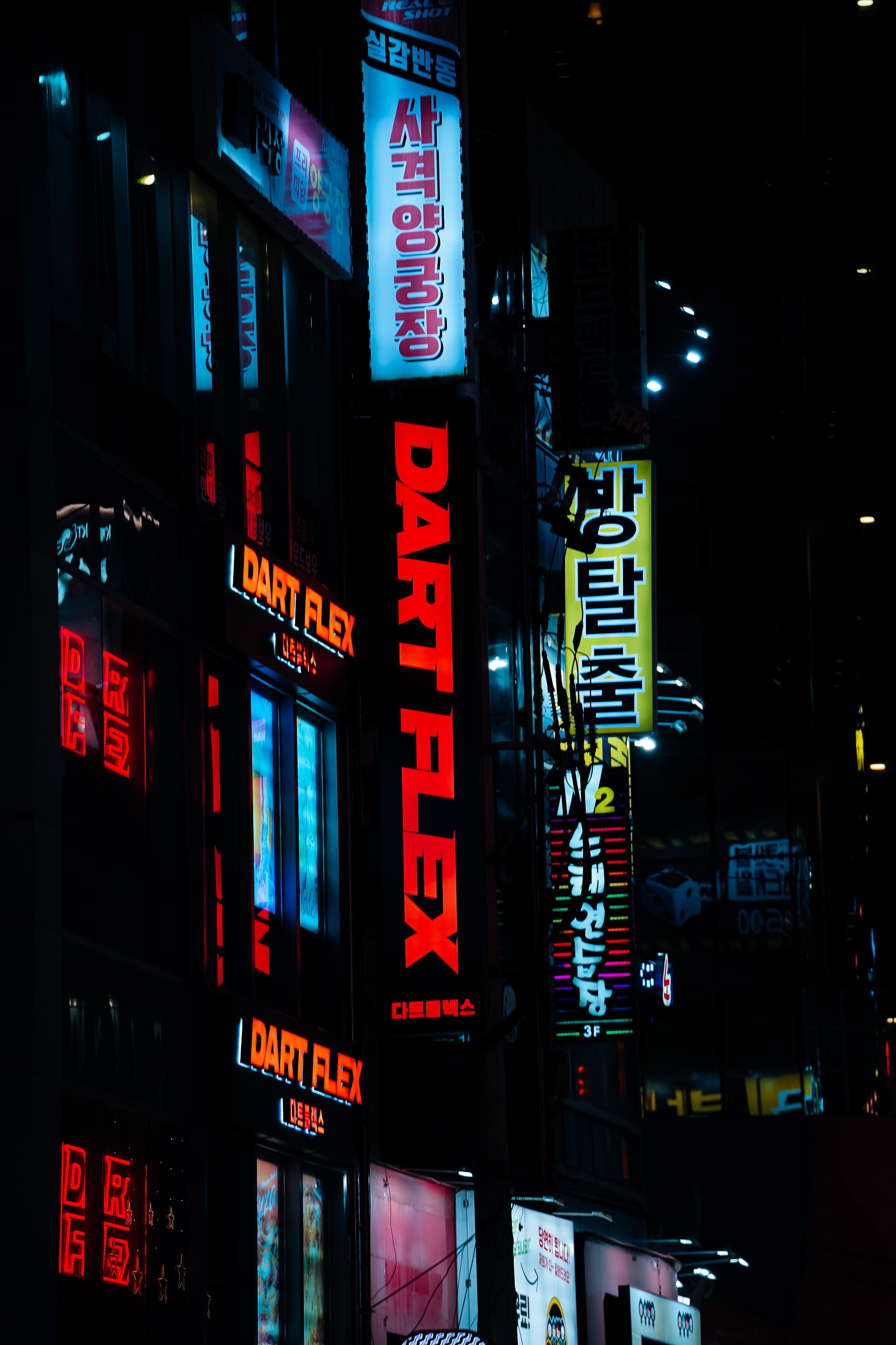 DSC09987.jpg