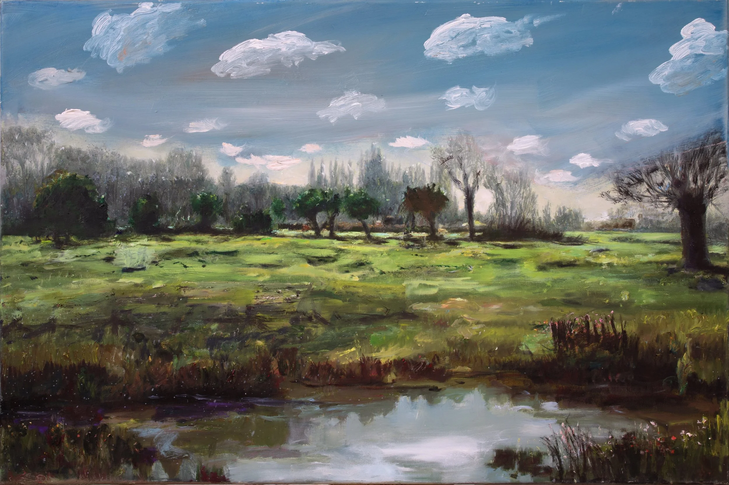 Feld, 80x120 cm, Öl auf Leinwand, 2026 €9.000
