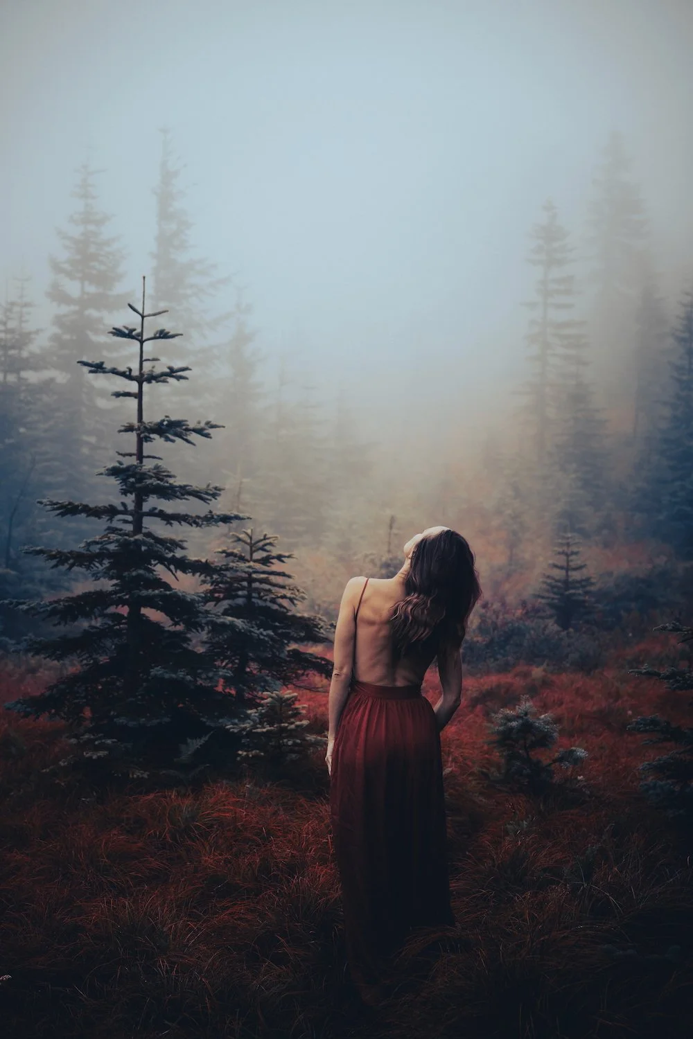 Woman in red dress standing in a misty foggy forest, atmospheric nature portrait photography by Missoula Montana photographer.