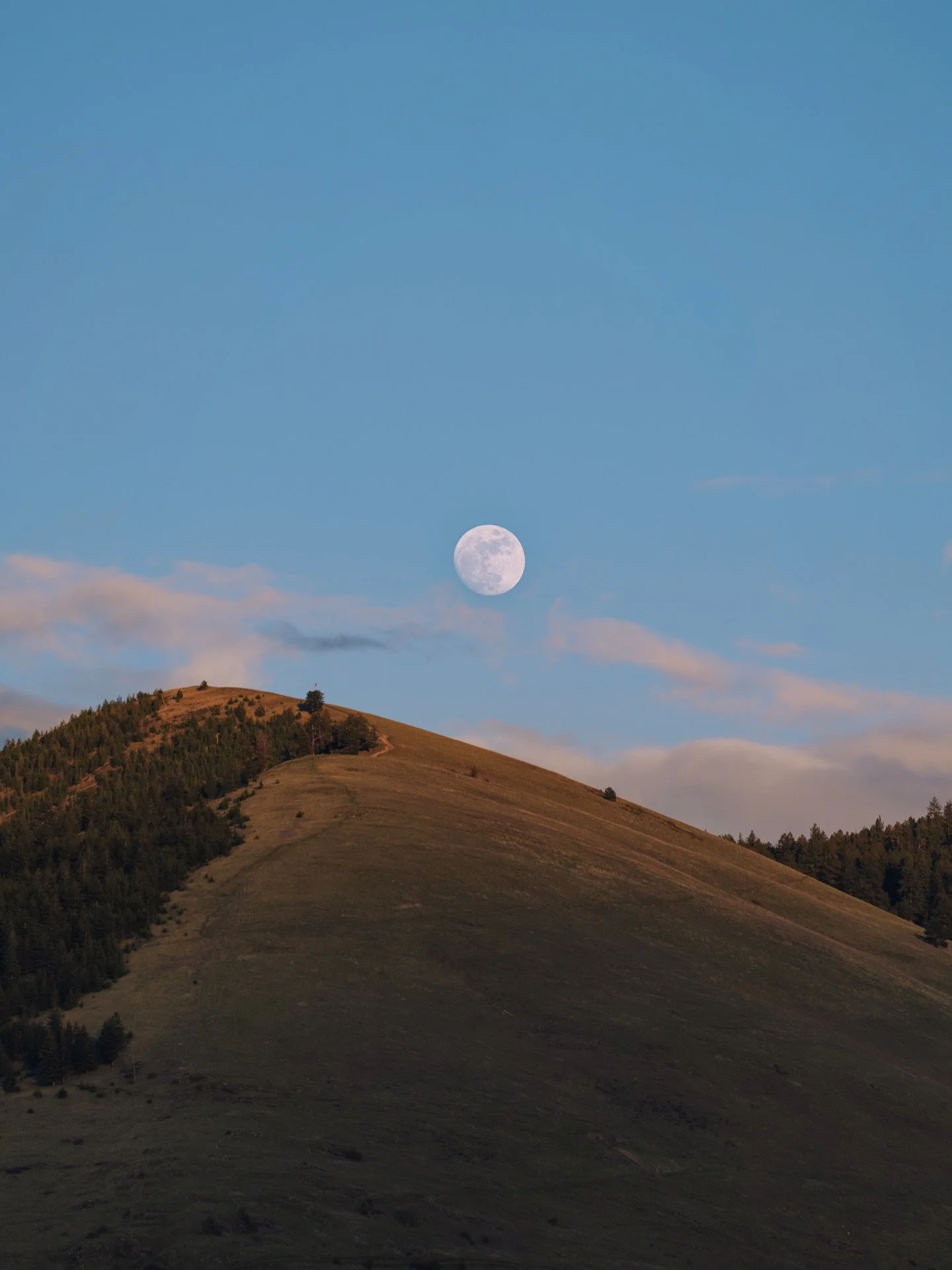 Her magnificence 🌜✨🌛

.

.

#missoula #fullmoon #missoulamontana #selfportrait