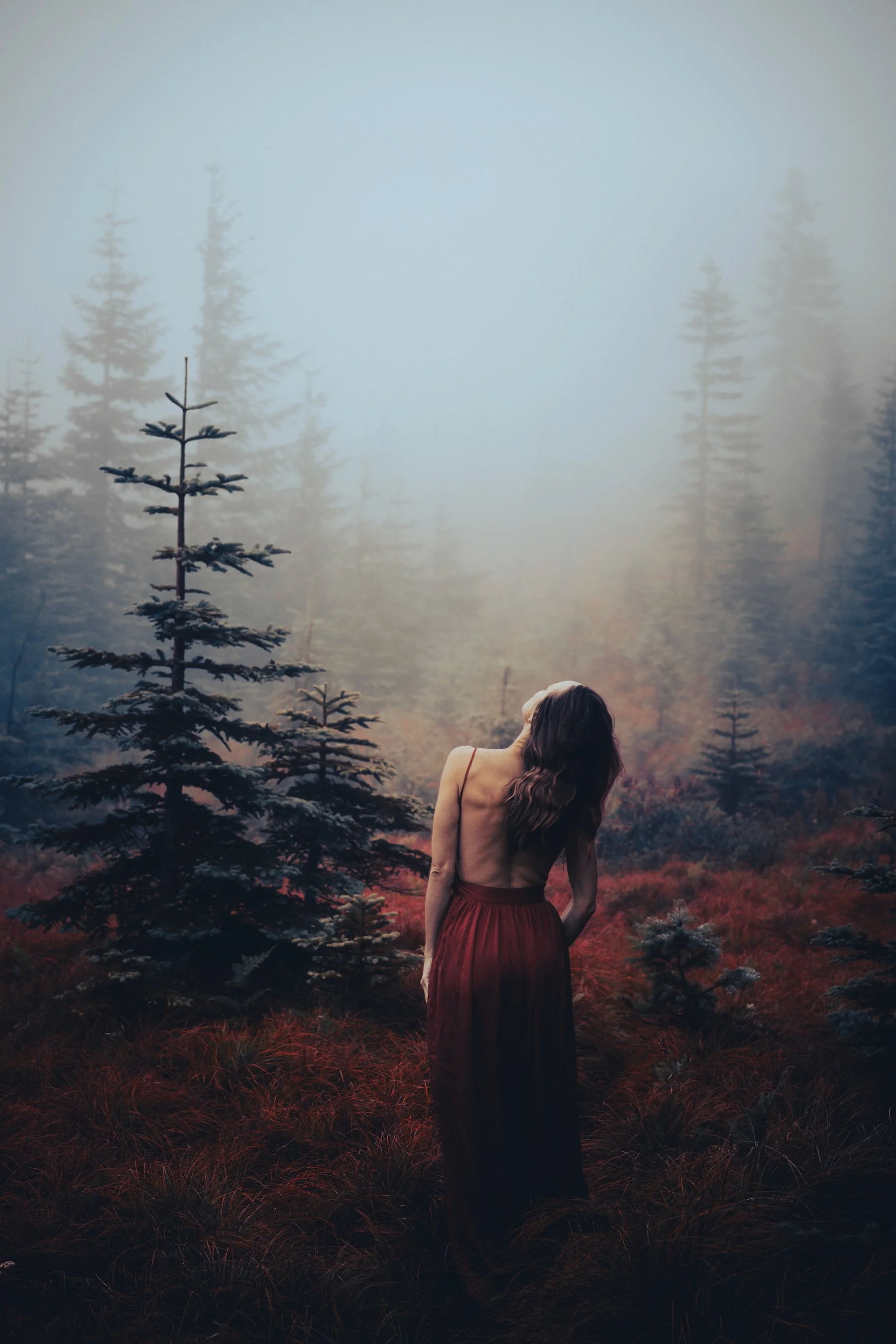 Woman in red dress standing in a misty foggy forest, atmospheric moody nature portrait photography by Missoula Montana photographer