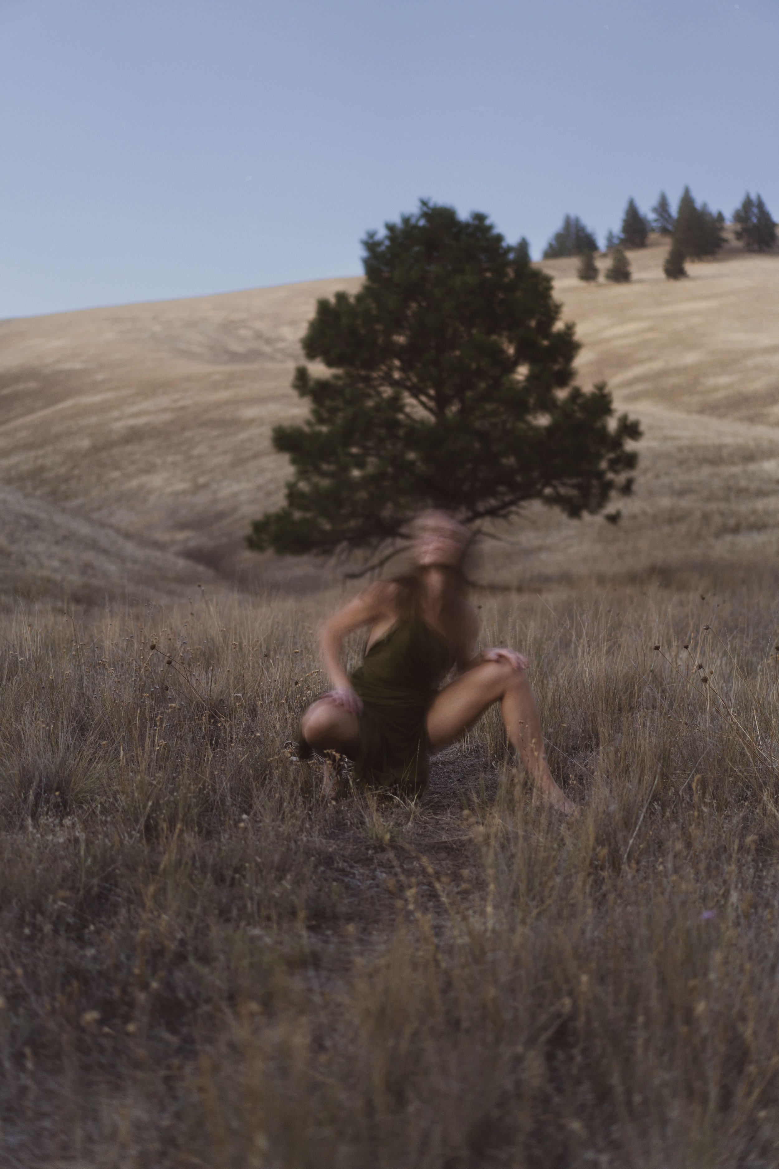 Motion blur self portrait of woman crouching in dry grass on Mt Sentinel hillside with a lone pine tree and Montana landscape behind her, fine art nature photography by Missoula Montana photographer.