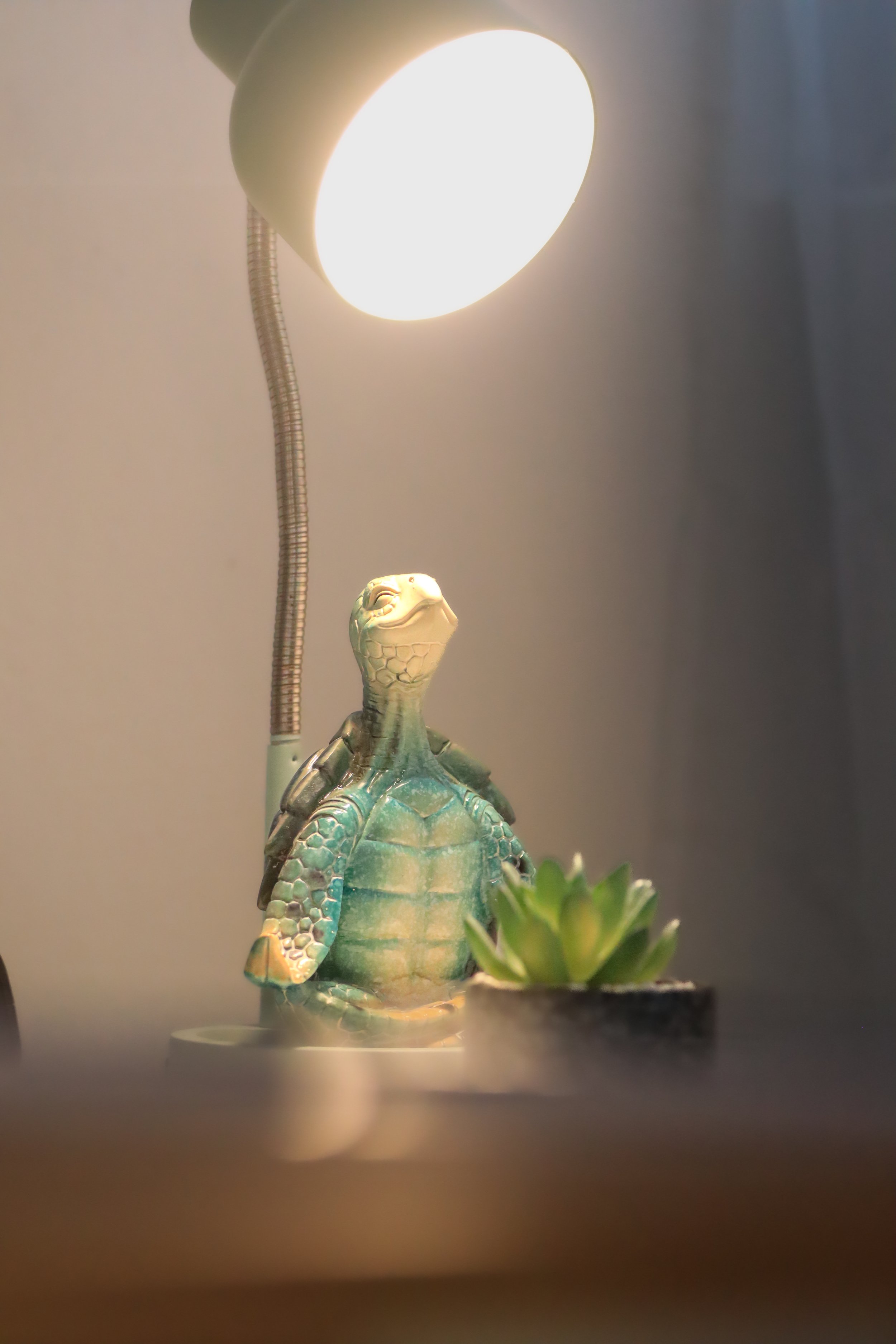 A decorative lamp with a reptile-shaped base, placed behind a green succulent plant, with a bright white circular light at the top and a silver flexible arm.