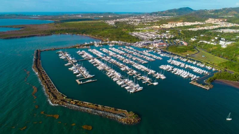 Aerial view of a marina with numerous boats docked, surrounded by water and a breakwater, with a green landscape and cityscape in the background.