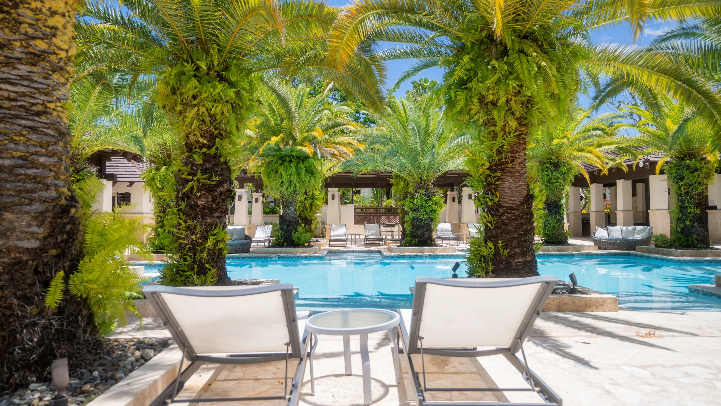 Tropical poolside scene with tall palm trees, lounge chairs, and a swimming pool, under a bright blue sky.