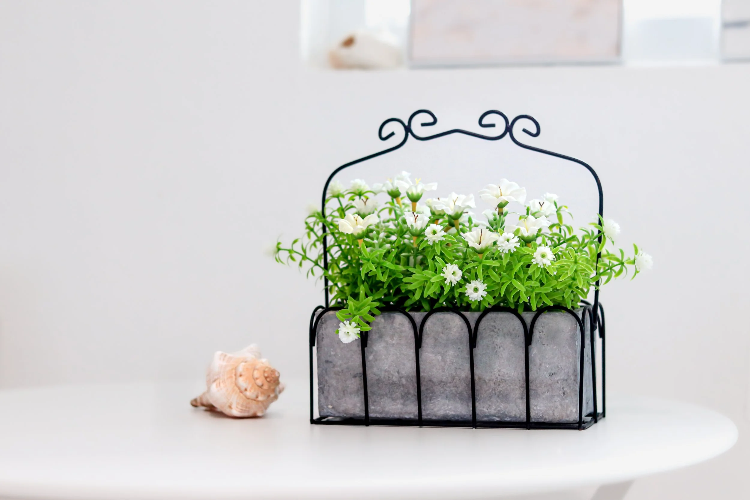 A black wire basket with a small concrete base filled with white flowering plants on a light-colored surface. A seashell is on the surface next to the basket, and there is a blurred background with a white wall.