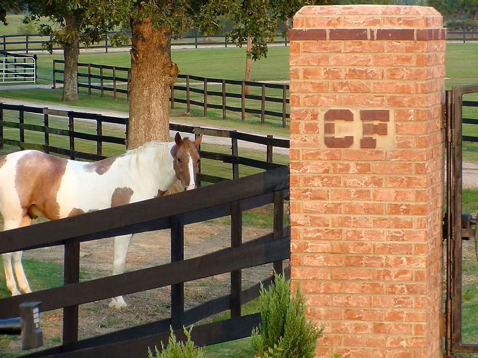 gate horse.png