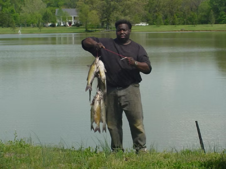 catfish.png