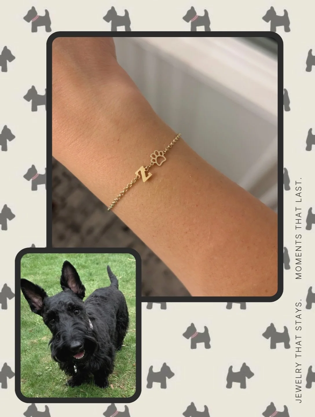 This little guy right here is a big part of why I started this business.  After losing my sweet scottish terrier Zuba, very suddenly to cancer in 2025, I really lost my spark for a while.  Finding balance and enjoying all of life&rsquo;s moments is a