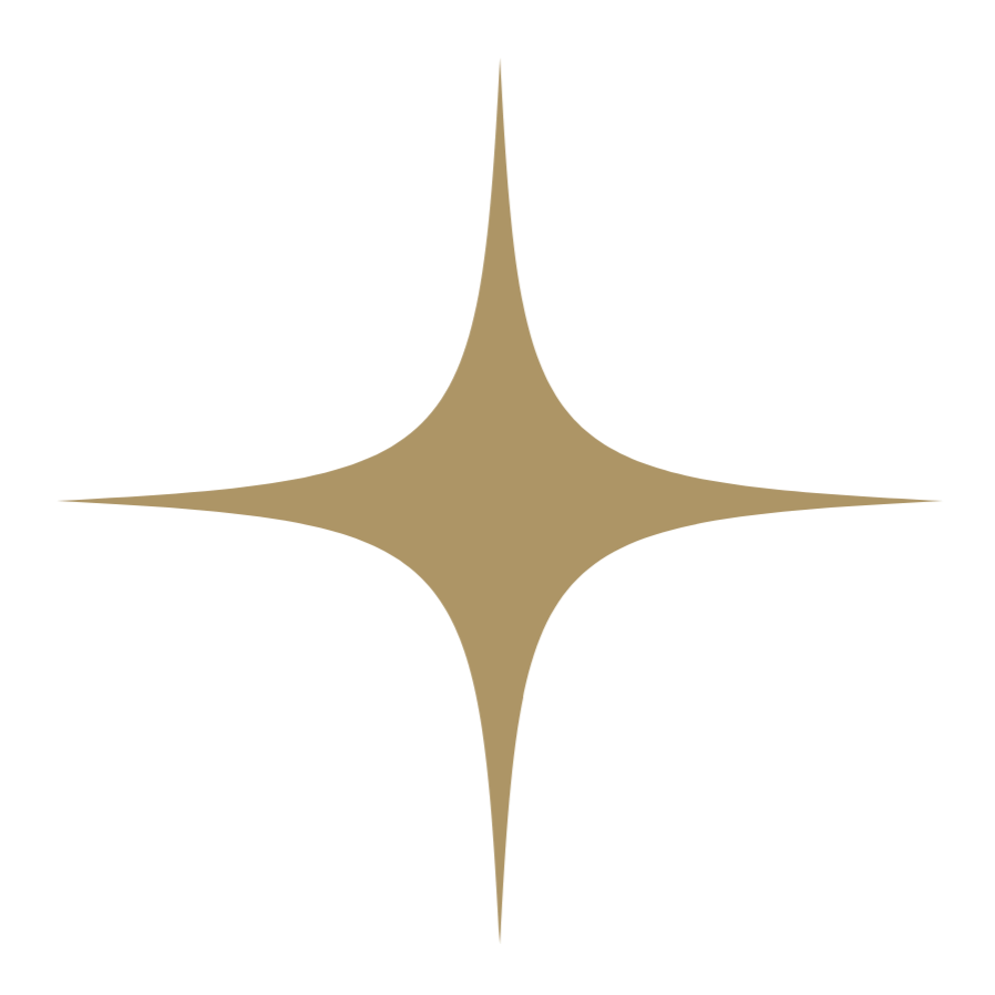 A sparkle symbol representing a spark
