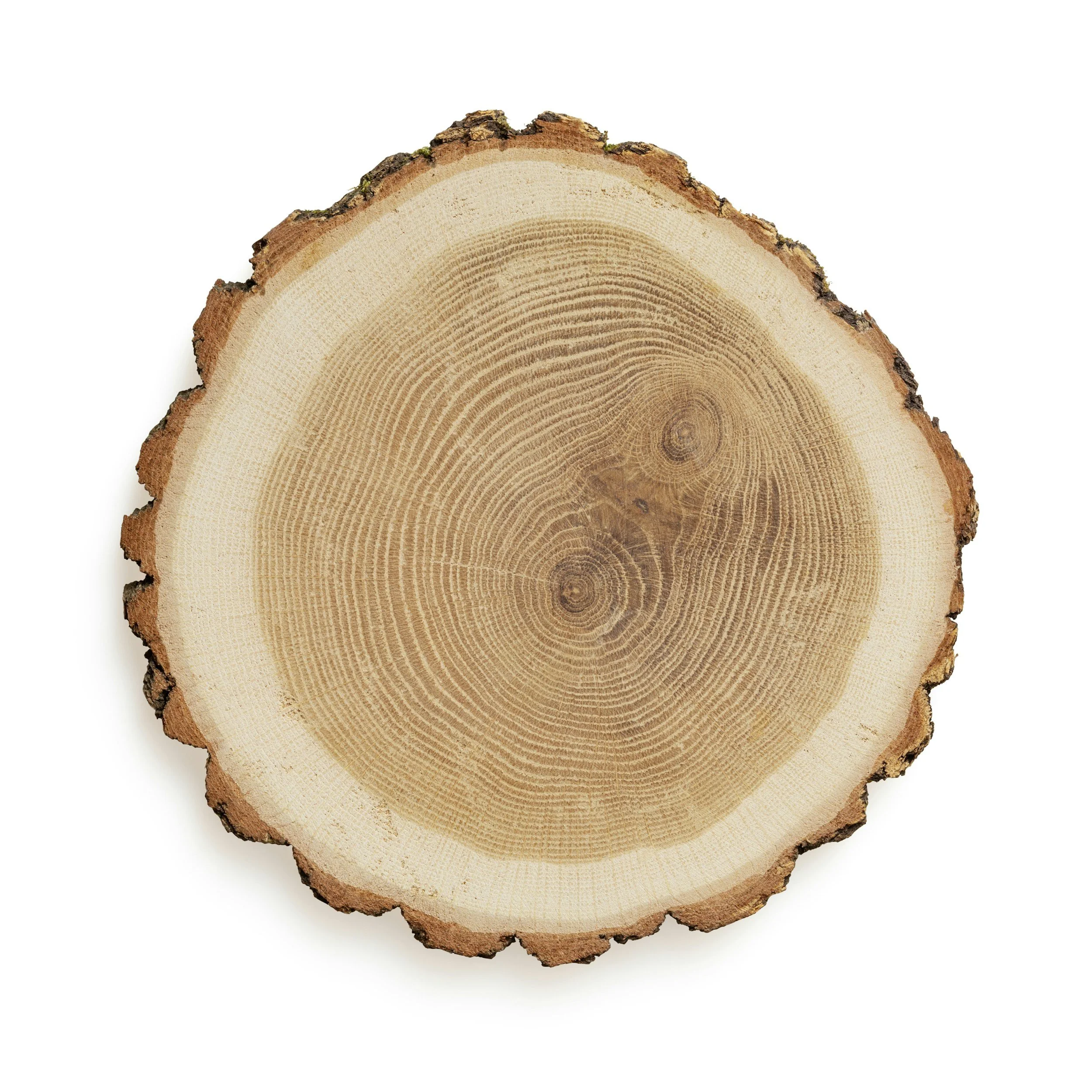 Log Slices. Starting from £5.00. *Minimum order applies*