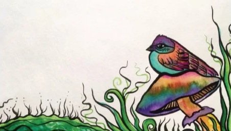 Birdie.jpg