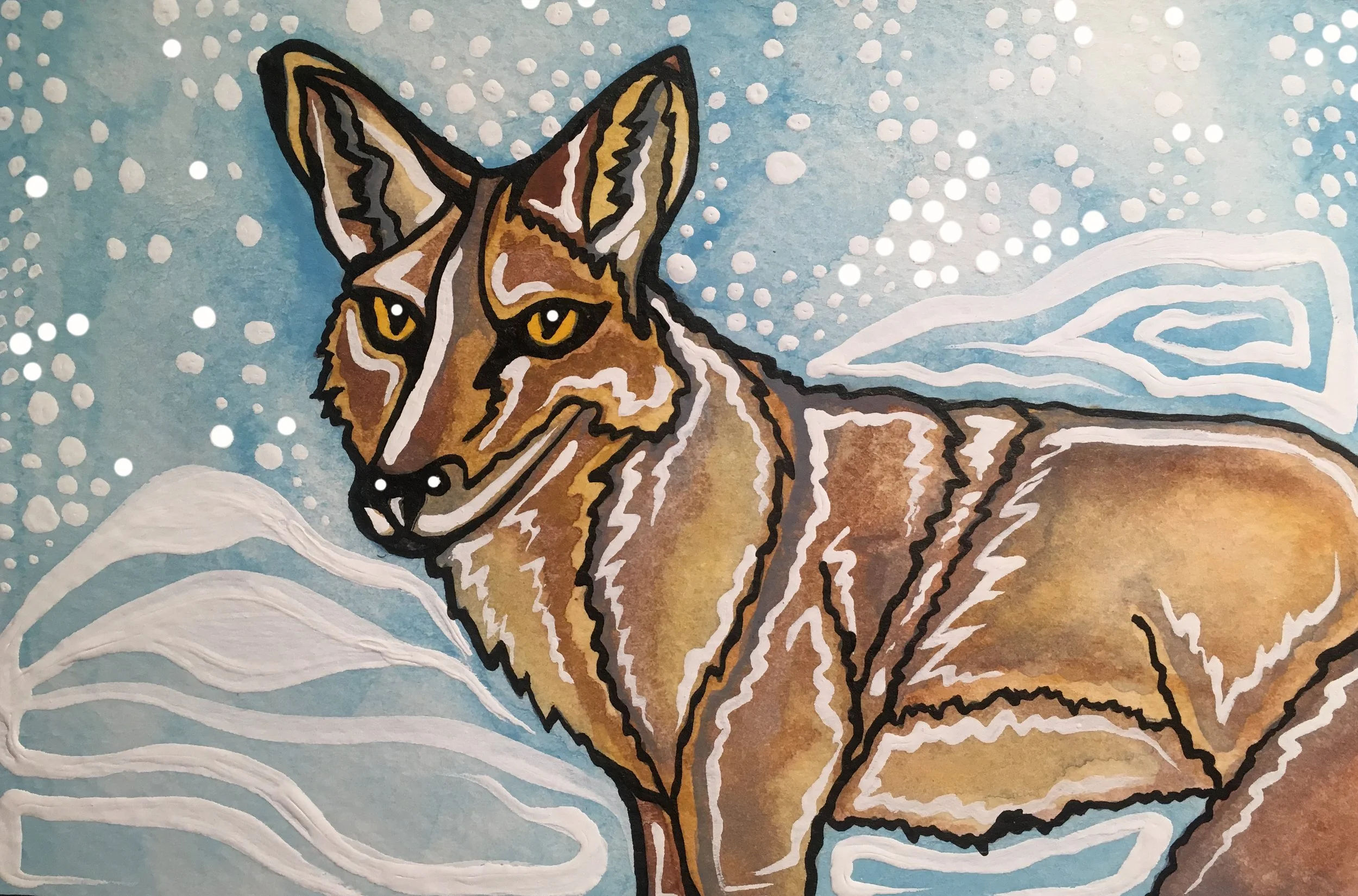 Coyote.JPG