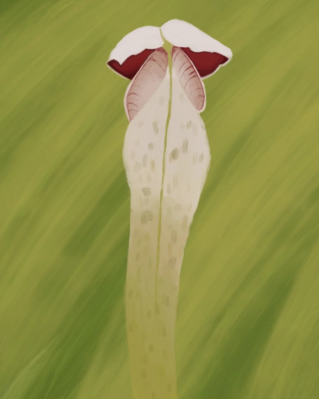 Untitled_Artwork 7.jpg