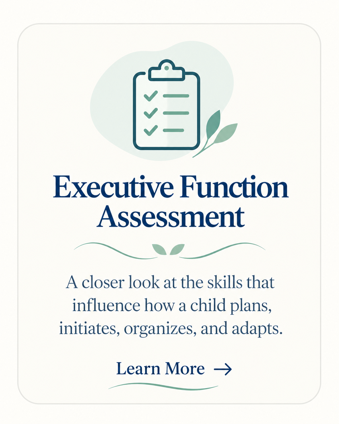 Executive Function Assessment