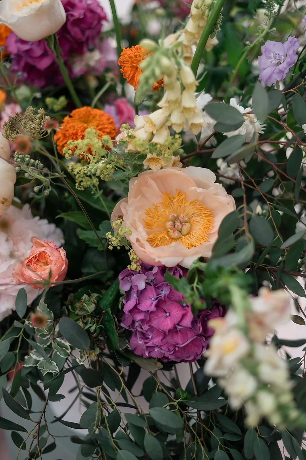 Close-up of various colorful flowers including a cream-colored poppy, purple hydrangea, orange marigolds, and pink and peach roses, surrounded by green leaves.