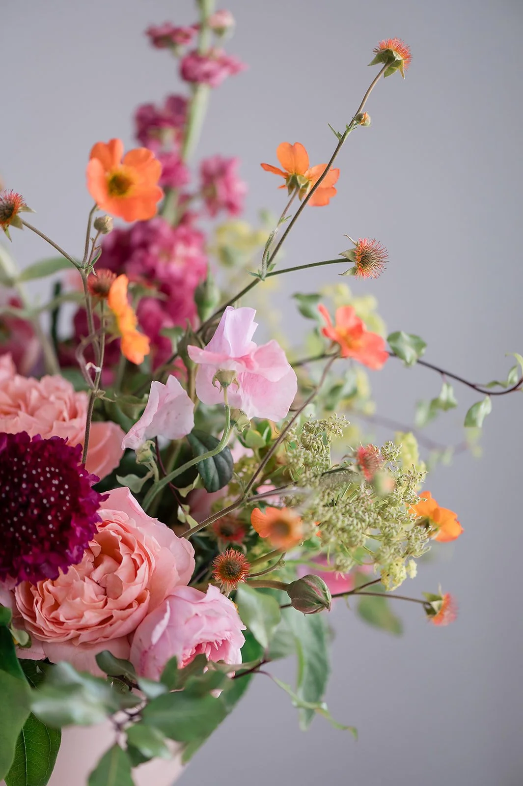 Close-up of a colorful bouquet of various fresh flowers including pink roses, orange blossoms, purple New Zealand waratahs, and other greenery against a plain grey background.