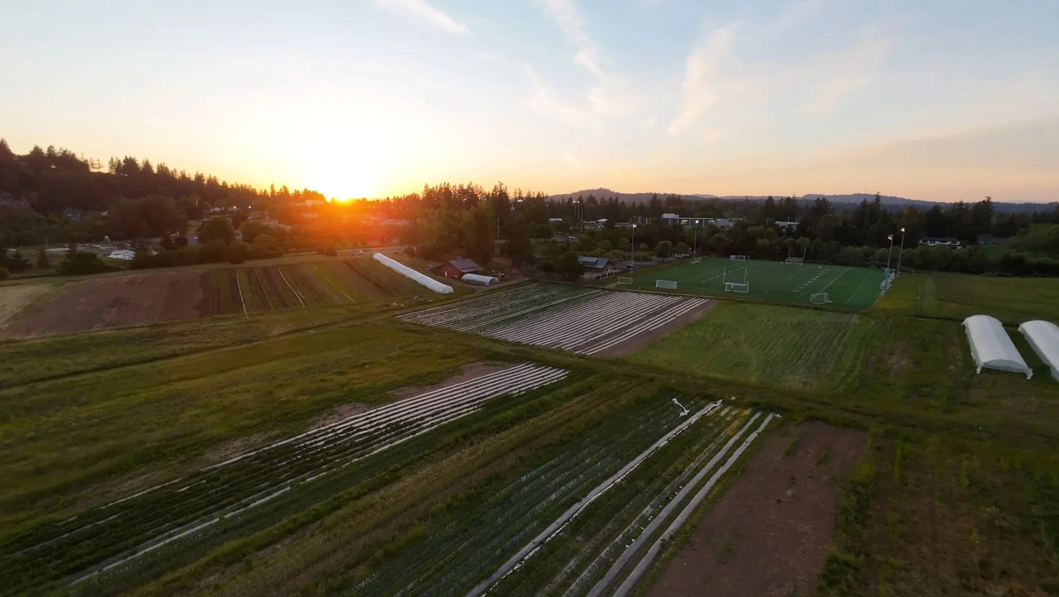 Aerial view of farmland with cultivated fields, greenhouses, a sports field, and a sunset over distant hills and trees.
