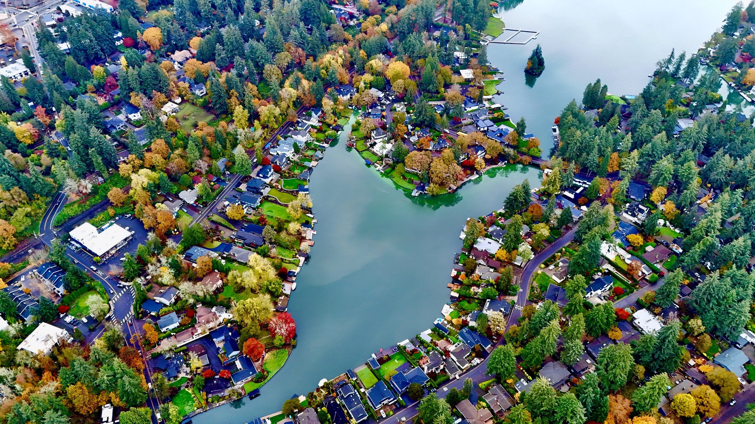 Aerial view of a residential neighborhood with colorful fall trees, houses, roads, and a water body with a small island and boat dock.