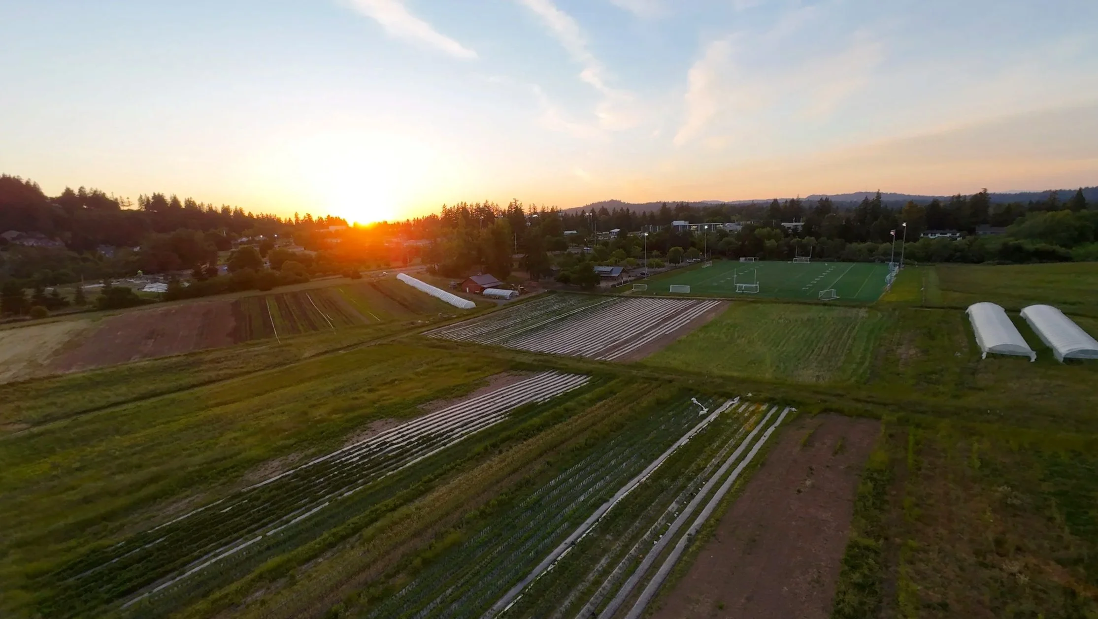 Aerial view of farmland at sunset with cultivated fields, greenhouses, and a rugby field surrounded by trees and hills in the distance.