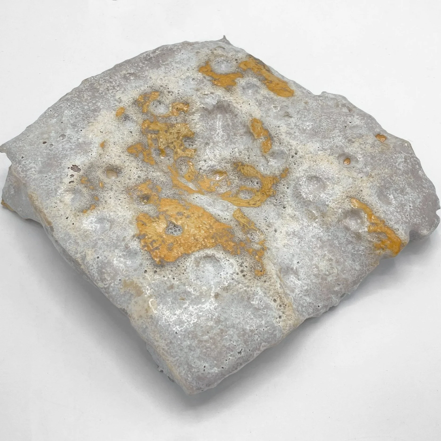 A Fossil