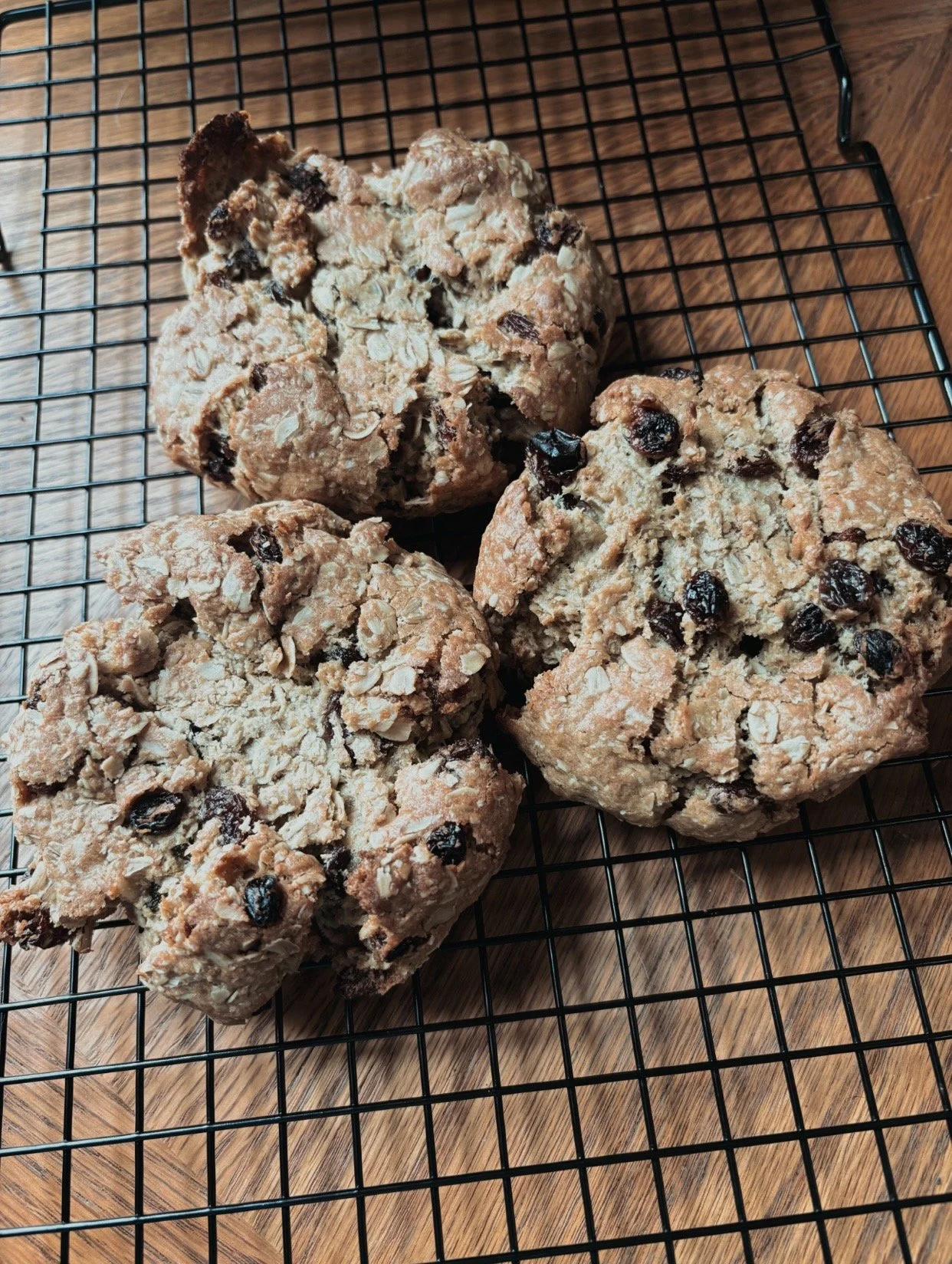 Oatmeal Raisin! Hearty rolled oats, sweet raisins together in a cozy homemade favorite. 