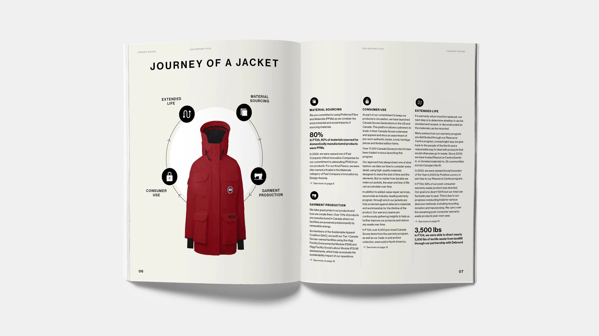 CanadaGoose5.jpg