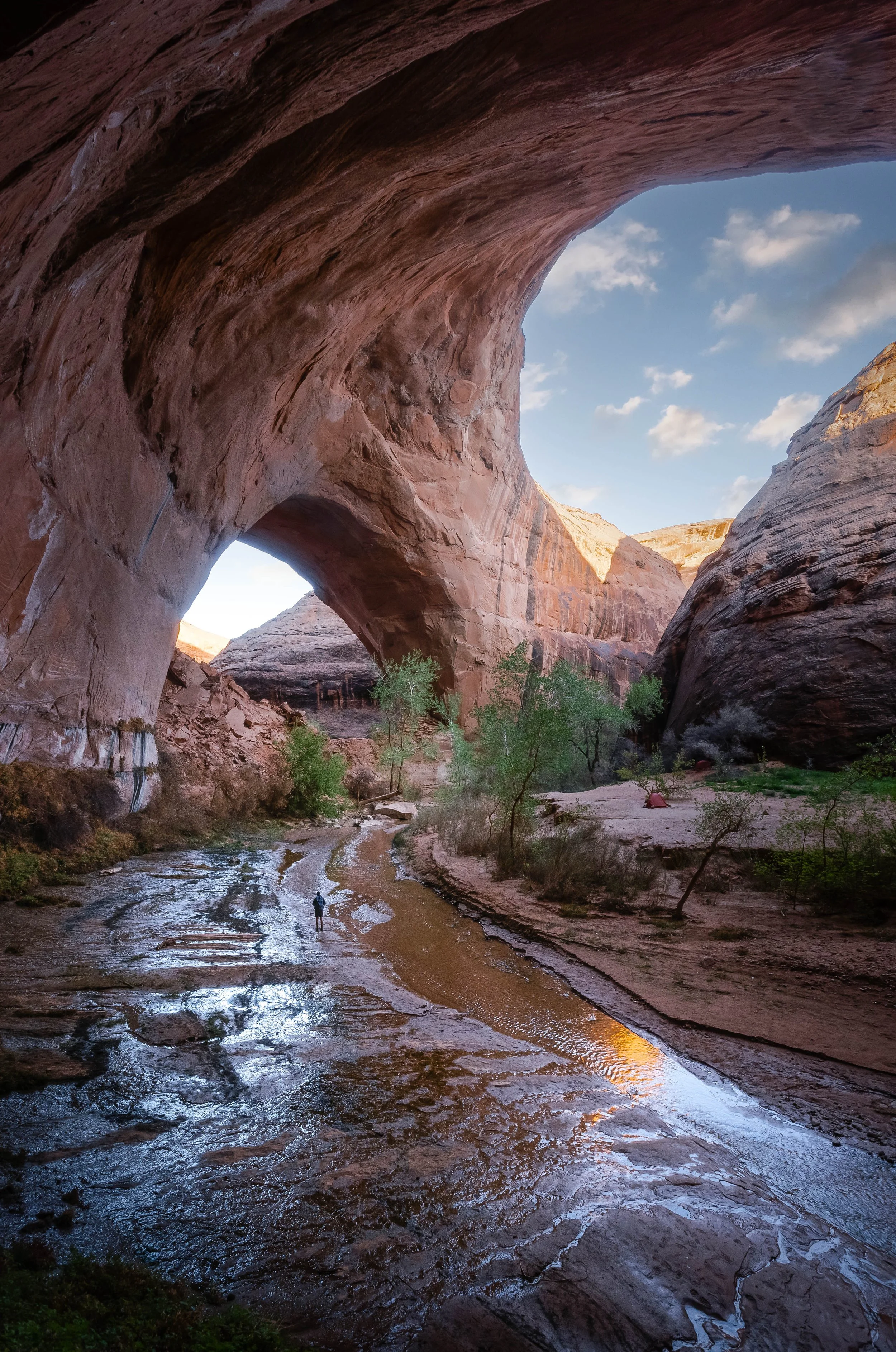4Q2A3436-HDR-Edit-2.jpg