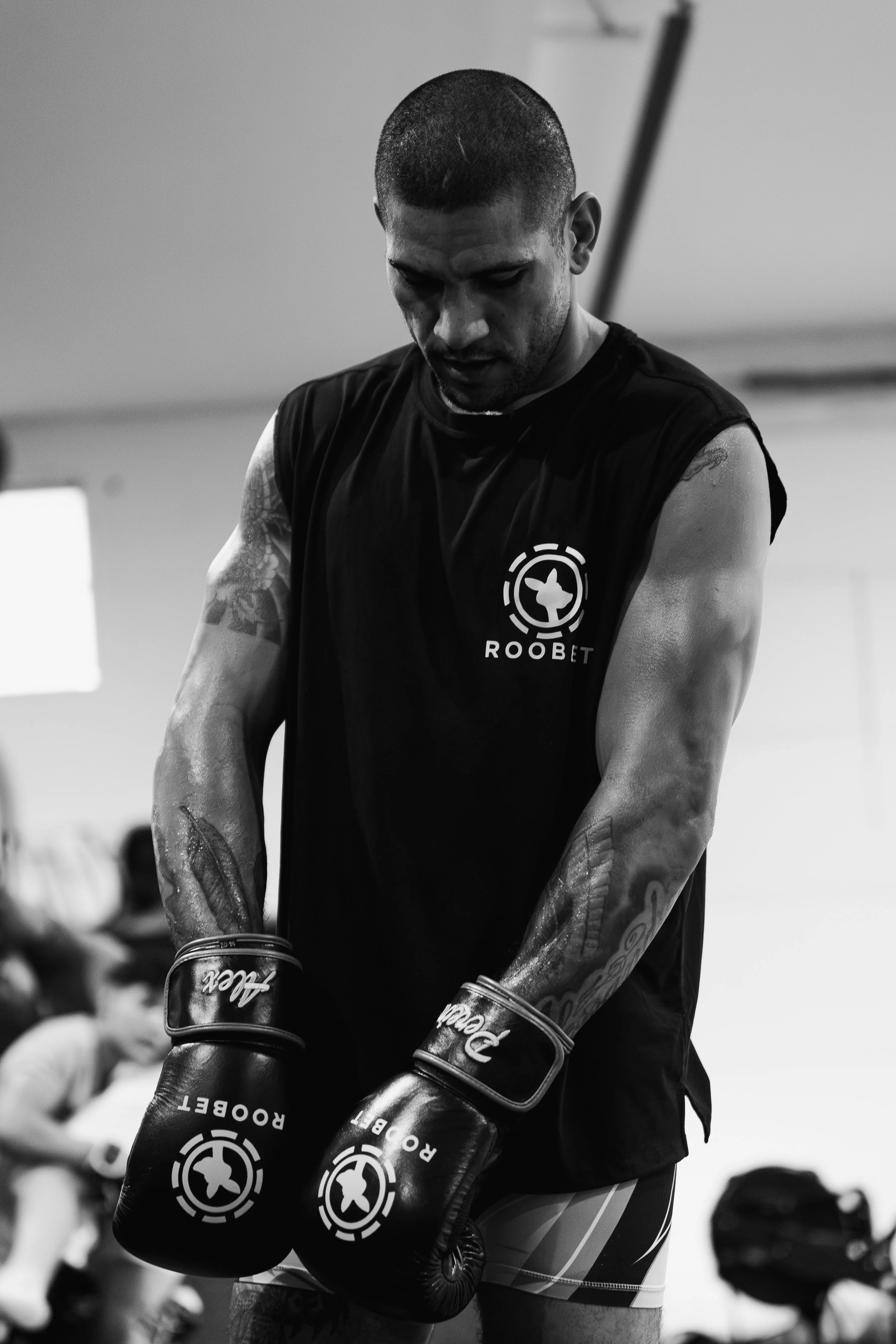 Alex Pereira-8.jpg