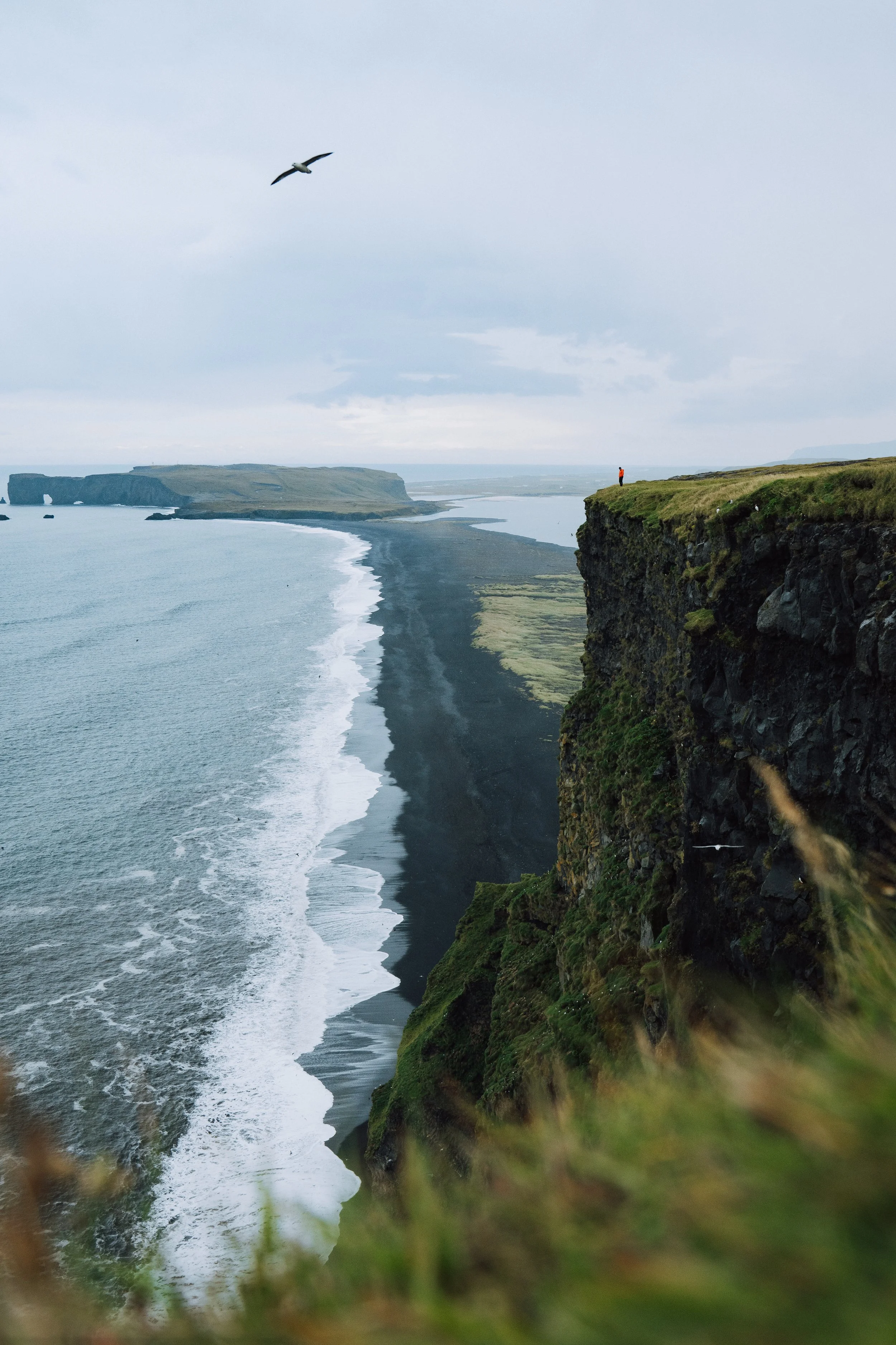 Iceland export-2-2.jpg