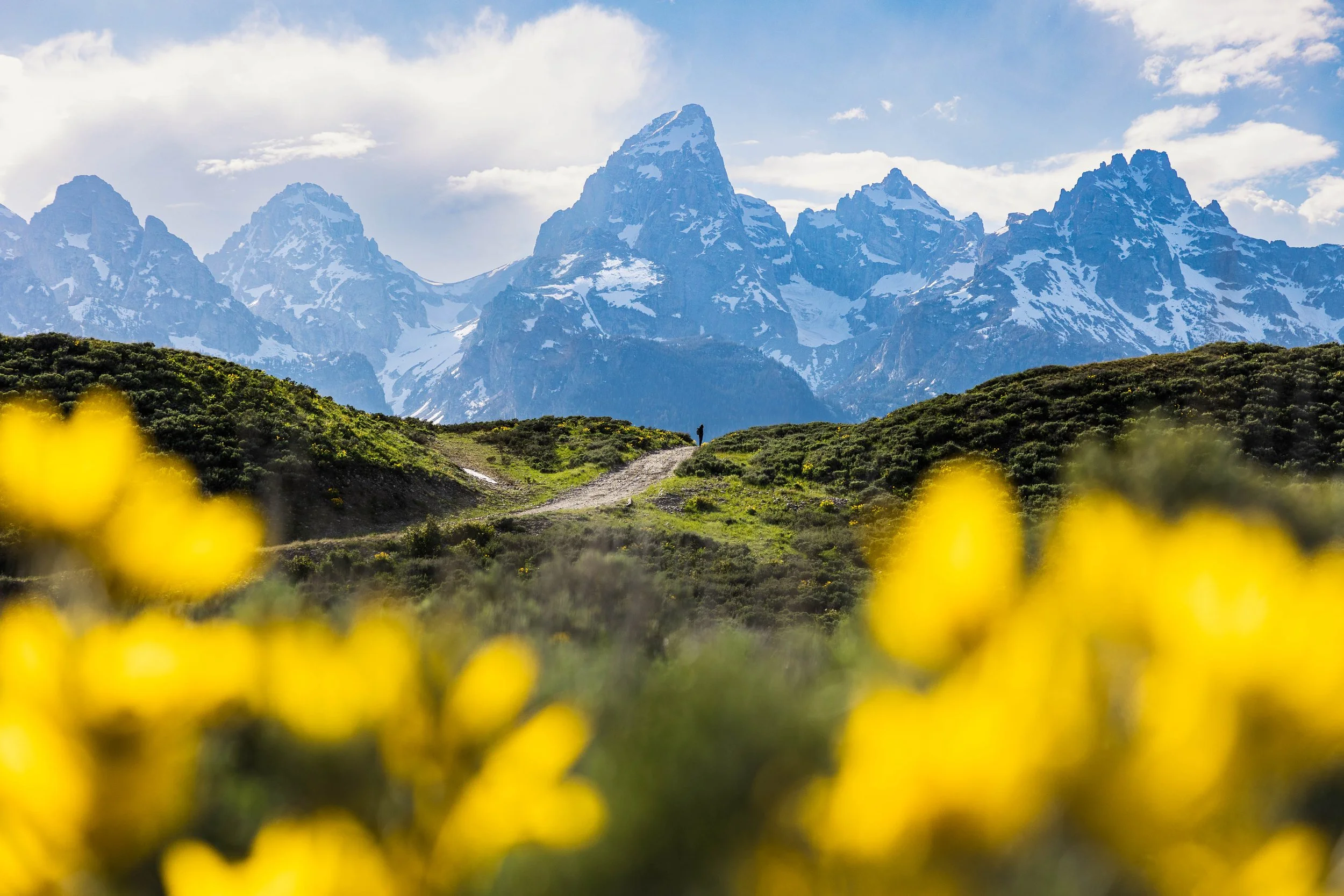 Teton original-2.jpg