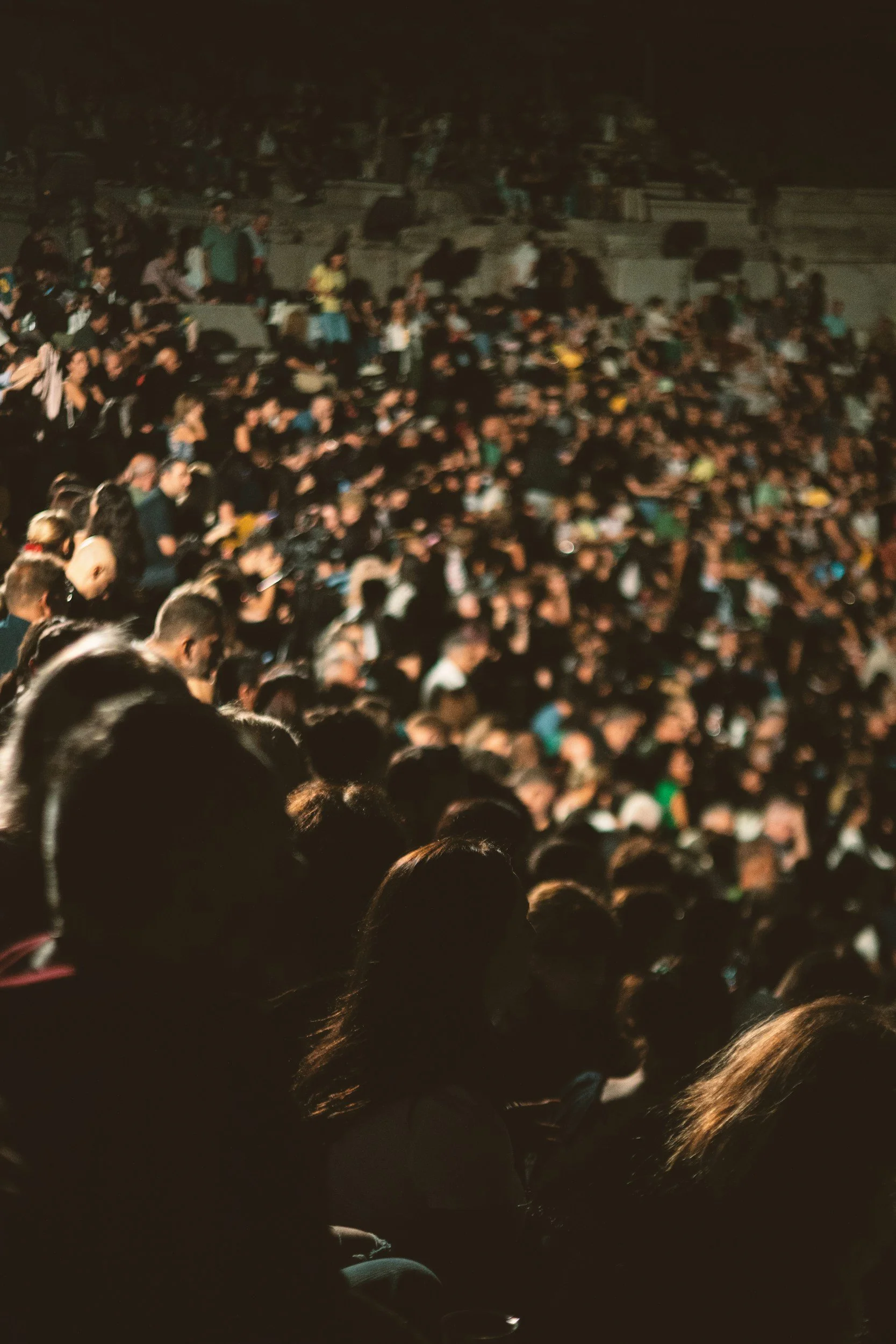 Audience at a concert