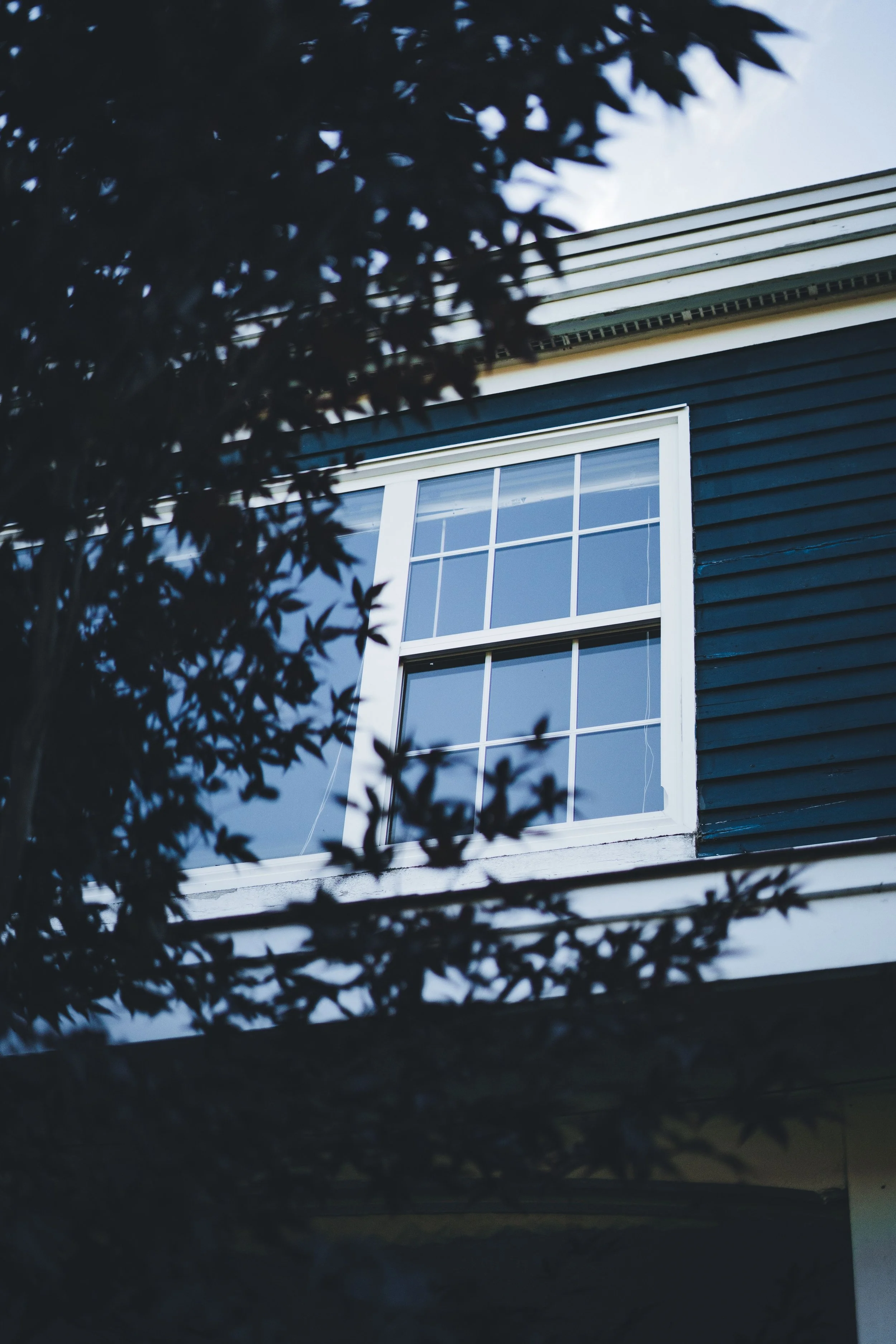 Window Cleaning