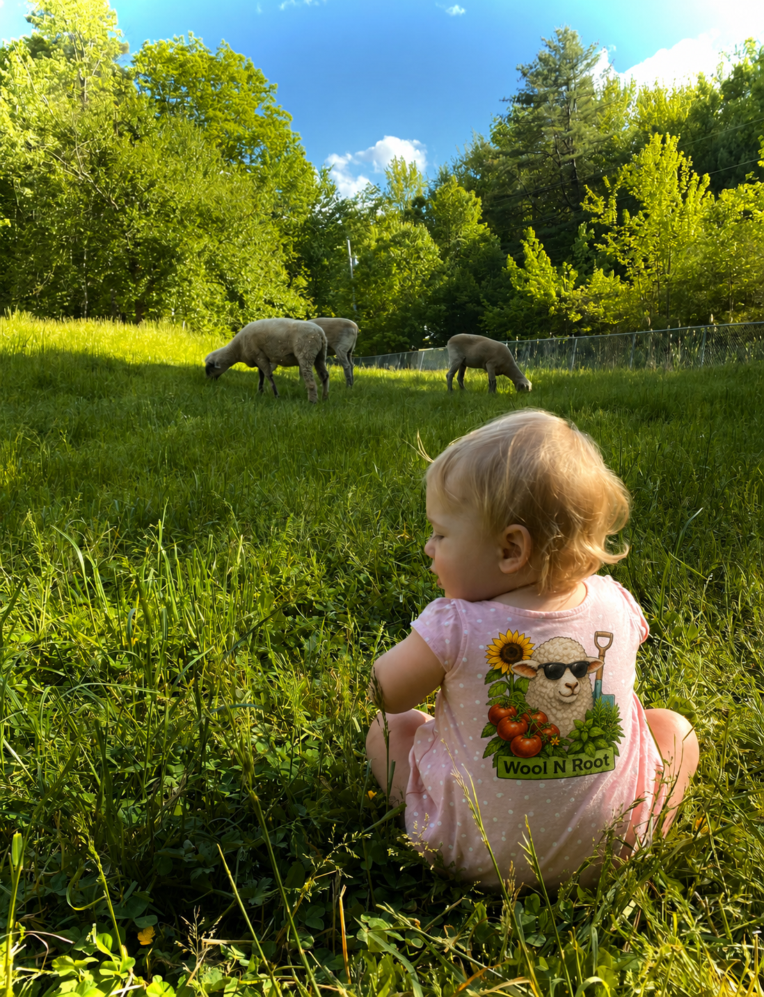 A young girl with curly blonde hair sitting in green grass, watching three sheep grazing near a tree line on a sunny day with a bright blue sky.