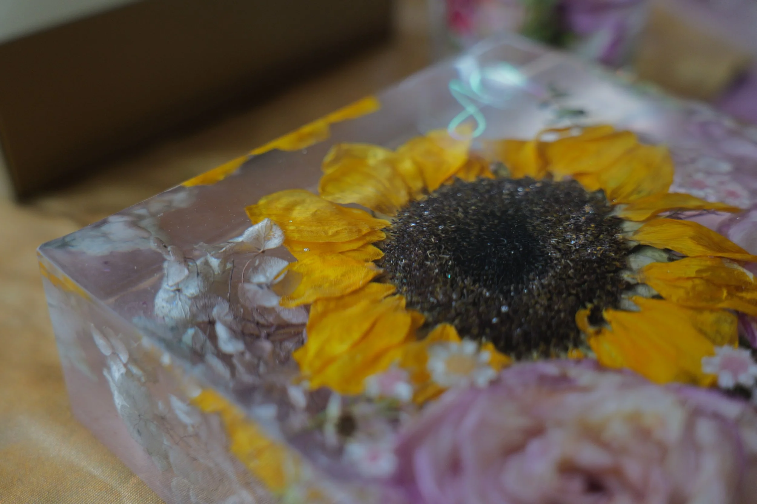 L1000098.JPG