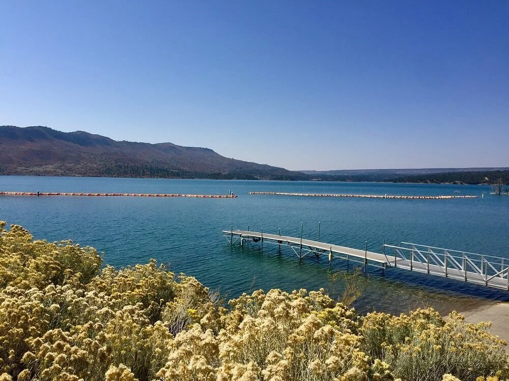 A clear blue lake with a dock extending into the water, surrounded by bushes and distant mountains under a bright sky.