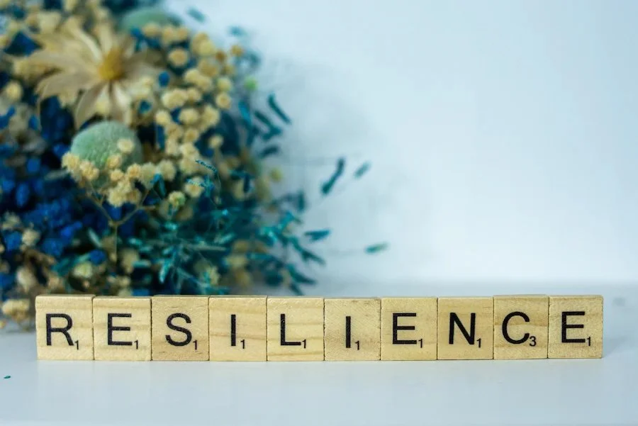 About Resilience