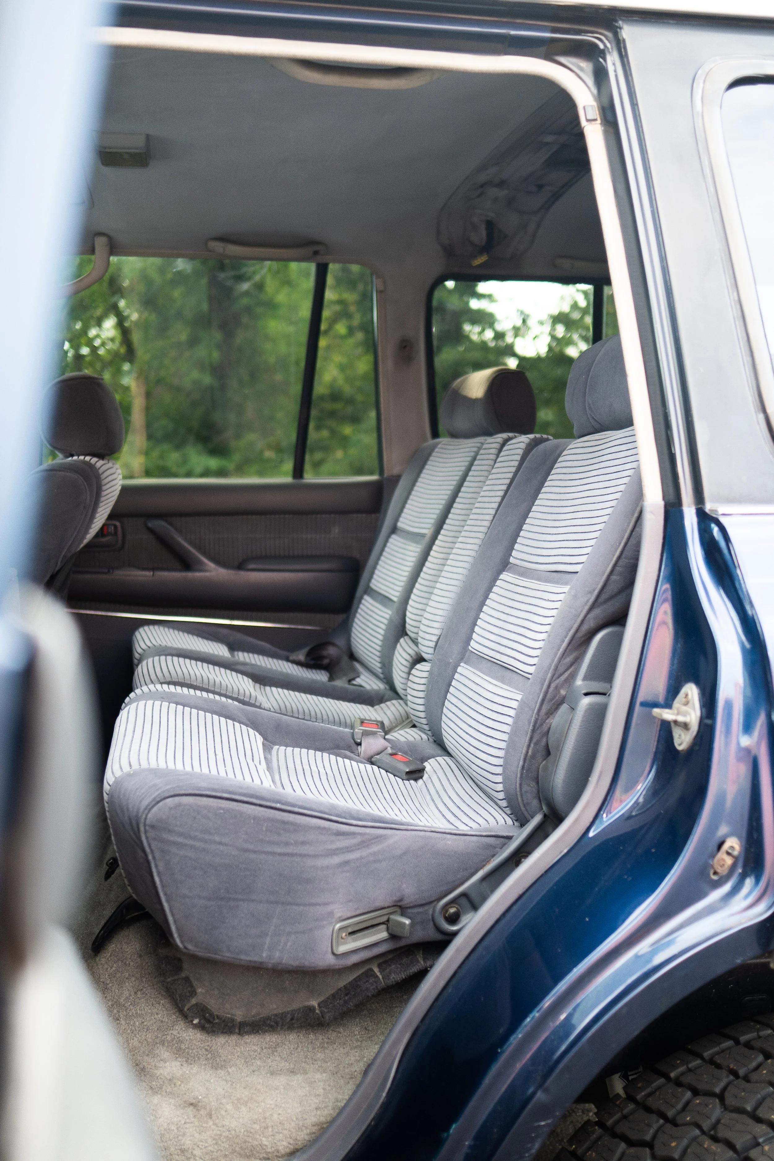 The photo shows the interior of a vehicle, with the view through an open door. Inside, there are striped fabric seats, headrests, and the side window reveals a green, leafy background outdoors.